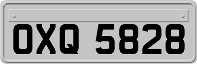 OXQ5828