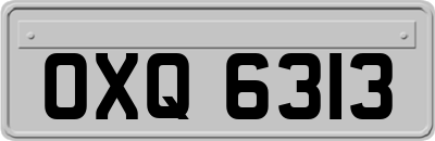 OXQ6313