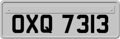 OXQ7313