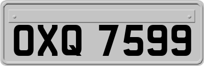 OXQ7599