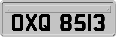 OXQ8513