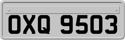 OXQ9503