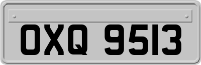 OXQ9513
