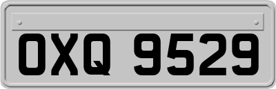 OXQ9529