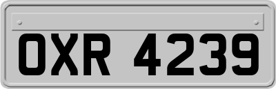 OXR4239