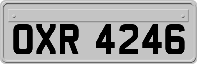 OXR4246