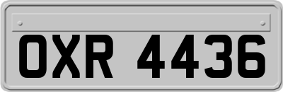 OXR4436