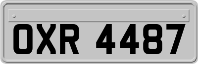 OXR4487