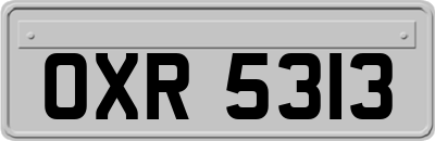 OXR5313