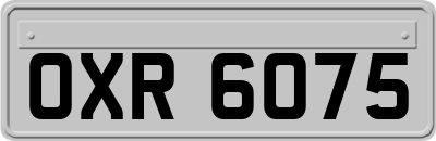 OXR6075