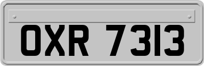 OXR7313