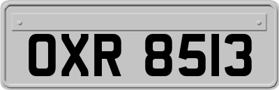 OXR8513