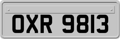 OXR9813