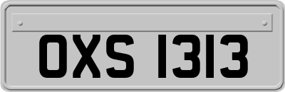 OXS1313