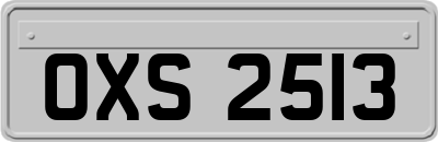 OXS2513