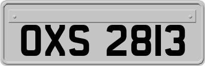 OXS2813