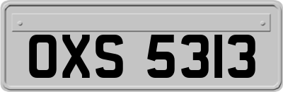 OXS5313