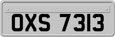 OXS7313