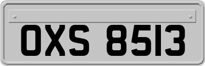 OXS8513