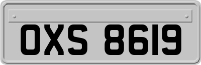 OXS8619
