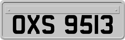 OXS9513