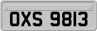 OXS9813