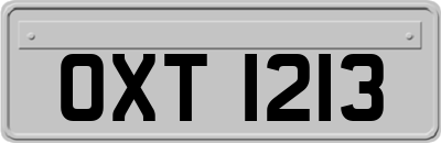 OXT1213