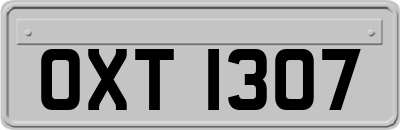 OXT1307