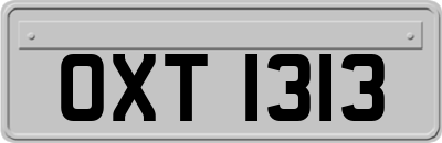 OXT1313