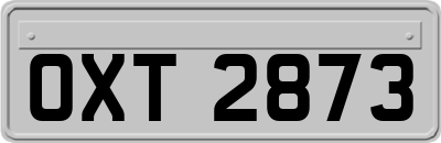 OXT2873