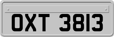 OXT3813