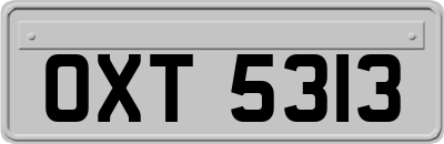 OXT5313