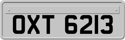 OXT6213