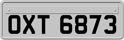 OXT6873