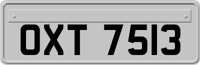 OXT7513
