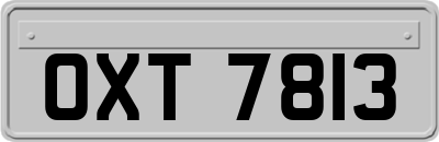 OXT7813
