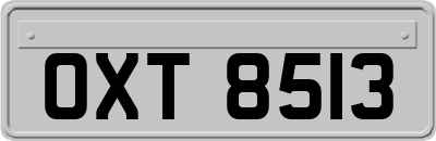OXT8513