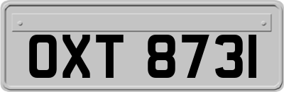 OXT8731