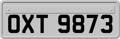 OXT9873