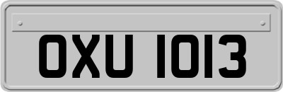 OXU1013