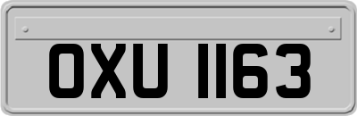 OXU1163