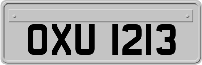OXU1213