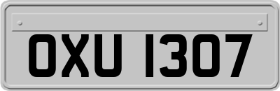 OXU1307