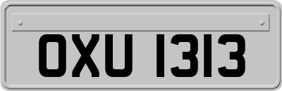 OXU1313