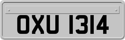 OXU1314