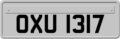 OXU1317