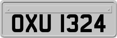 OXU1324