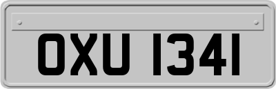 OXU1341