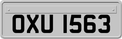 OXU1563