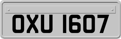 OXU1607